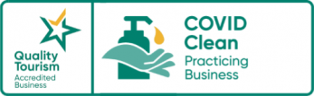 Covid Clean Business