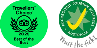 awards.png