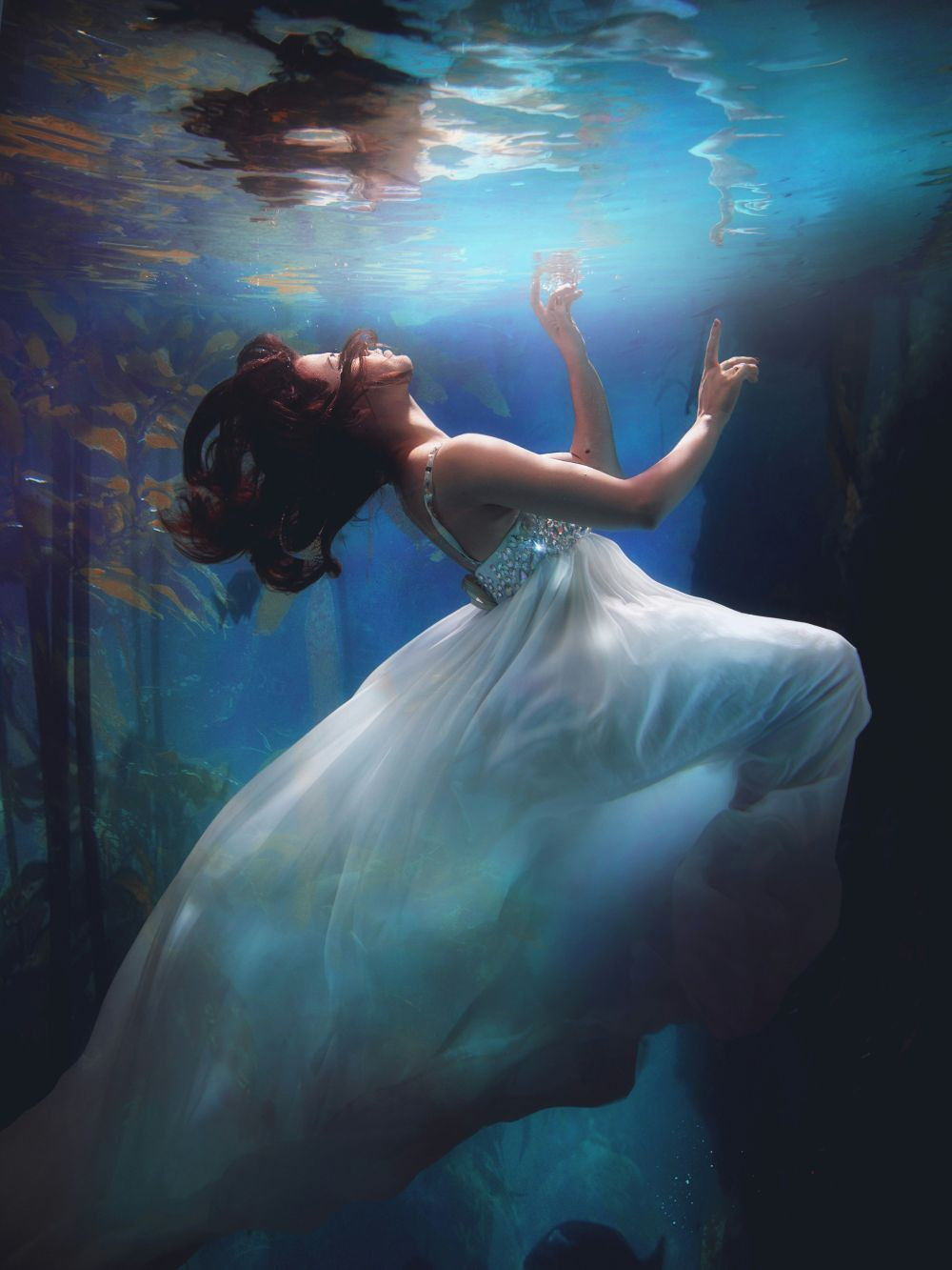 underwater-photography-of-woman-wearing-white-dress-apyidrna-py-alice-alinari-apyidrna-py-unsplash.jpg