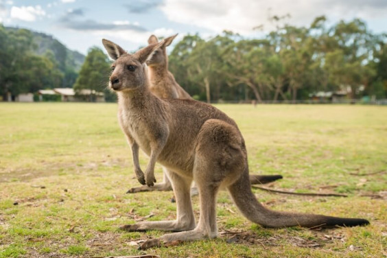 Grampians Private Tours from $1199