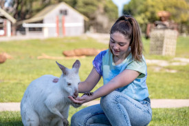 becky-hand-feeding-albino-kangaroo-(custom).jpg