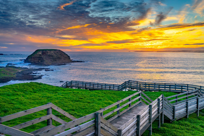 Penguin Parade Private Tours from $999