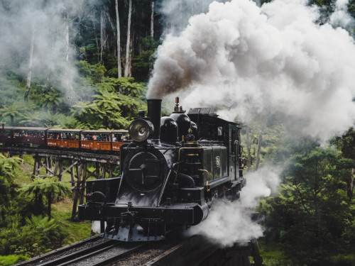 Puffing Billy to Phillip Island Private Day Tours From $1499