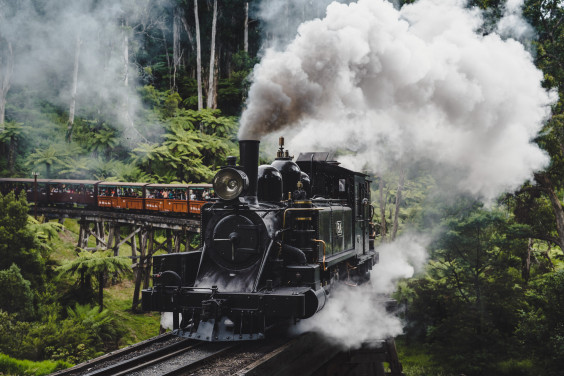Puffing Billy Day Tour from $899