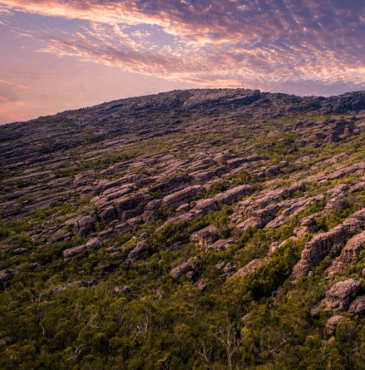 3 Day Great Ocean Road & Grampians Tours From $4199
