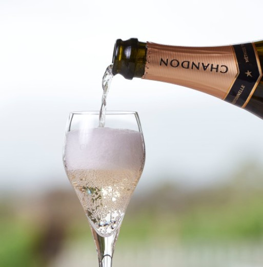 Wine and Wildlife Private Tour